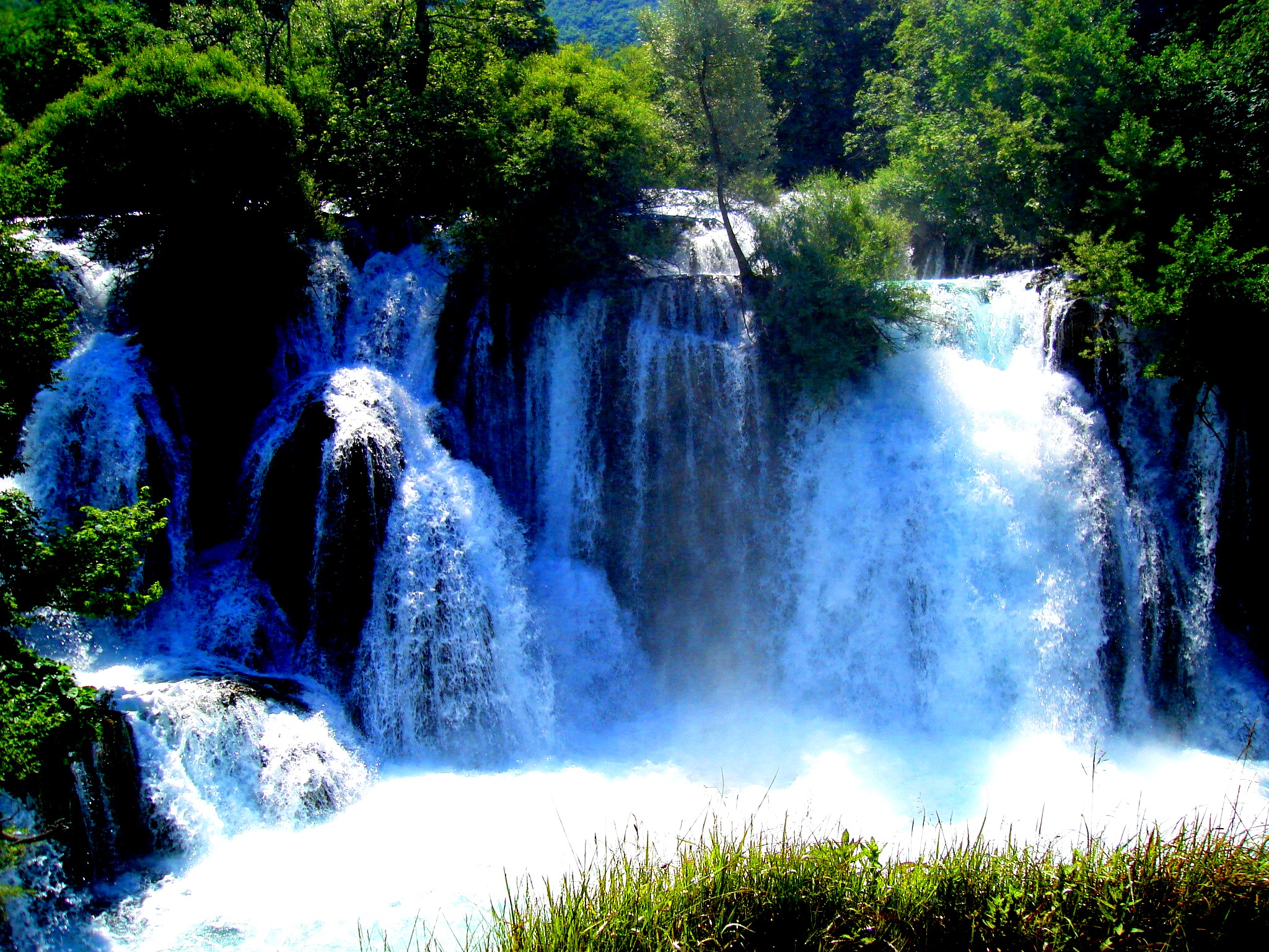 Strbački buk
