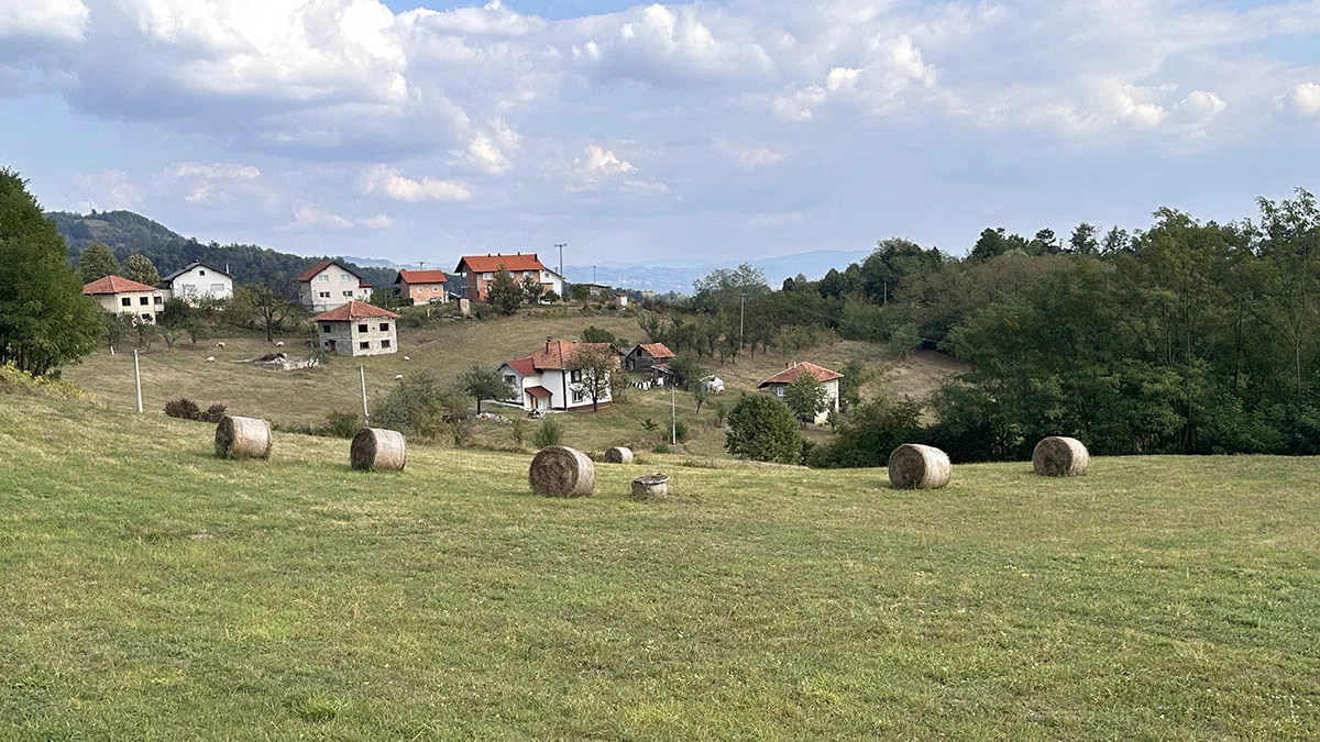 Slika u članku