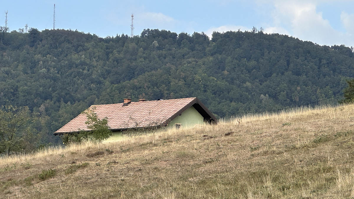 Slika u članku