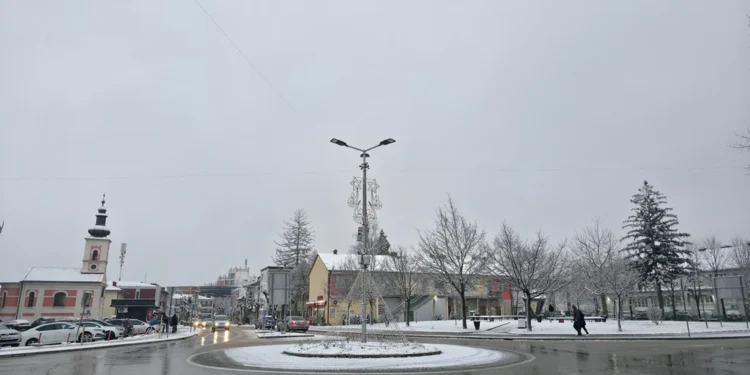 Velika kladusa