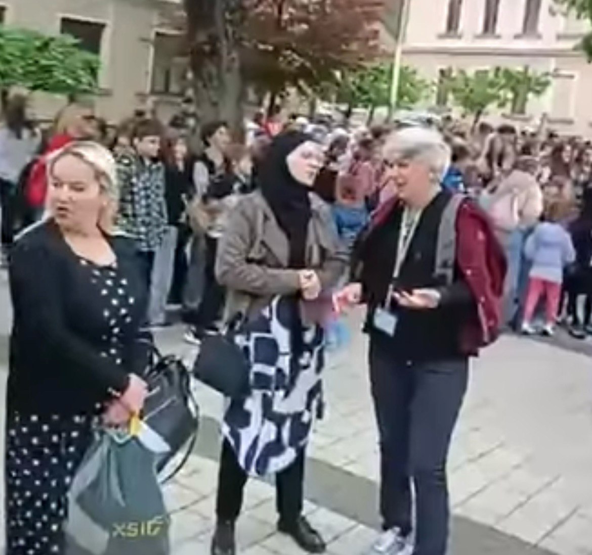 Slika u članku