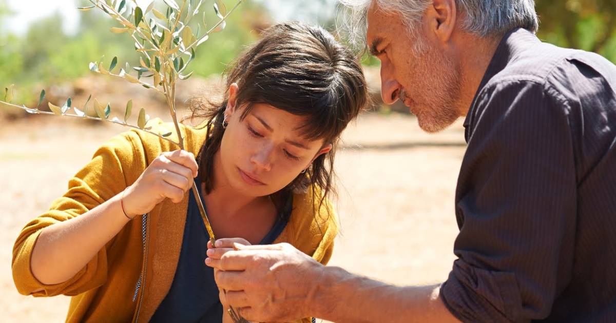 Ciklus &scaron;panske kinematografije u Mostaru: Pet filmova u programu