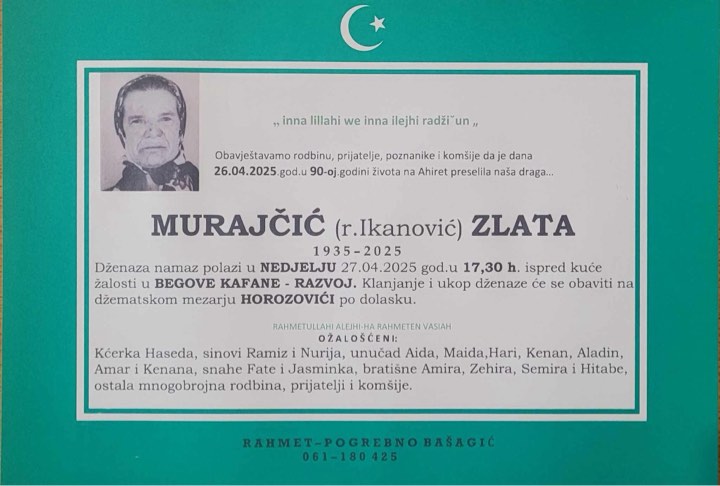 Slika u članku