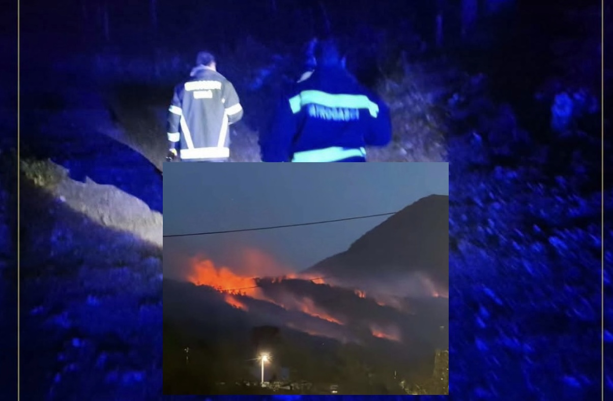 Požar u Gomila kod Bihaća aktivan, vatrogasci se bore s jakim vjetrom i detonacijama u miniranom području