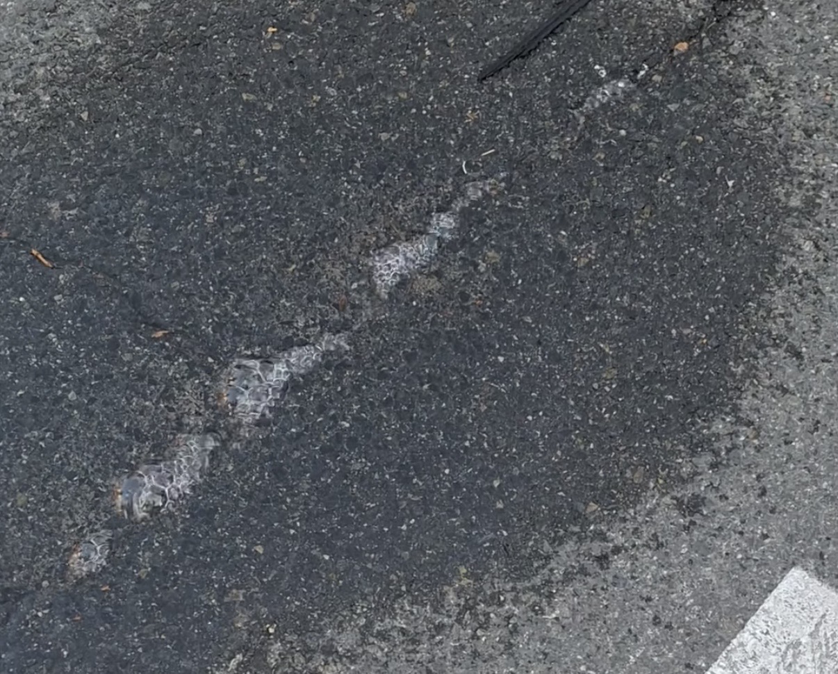 Užem centru Cazina trenutno nema vode zbog kvara, saop&scaron;tilo JKP Vodovod Cazin