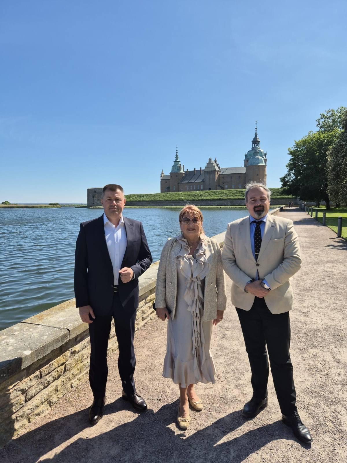 Slika u članku
