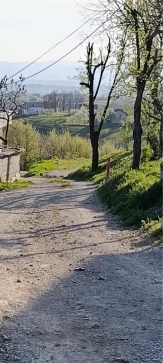 Slika u članku
