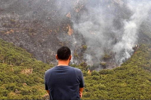 Alžir proglasio trodnevnu državnu žalost zbog požara koji su uzrokovali smrt vi&scaron;e ljudi