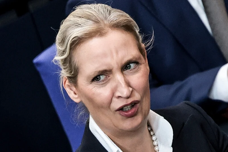Prema NDR-u i WDR-u, e-mailovi iz jula 2017. dovode u pitanje tvrdnju Alice Weidel o neznanju o donaciji od 132.000 eura