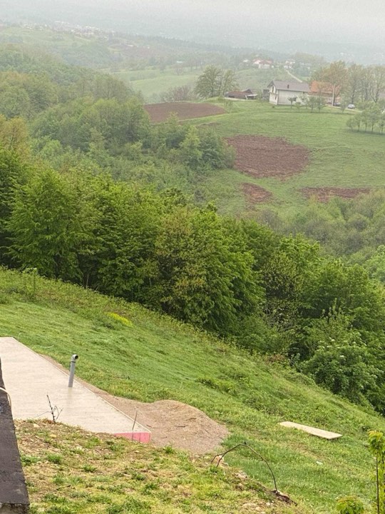 Slika u članku