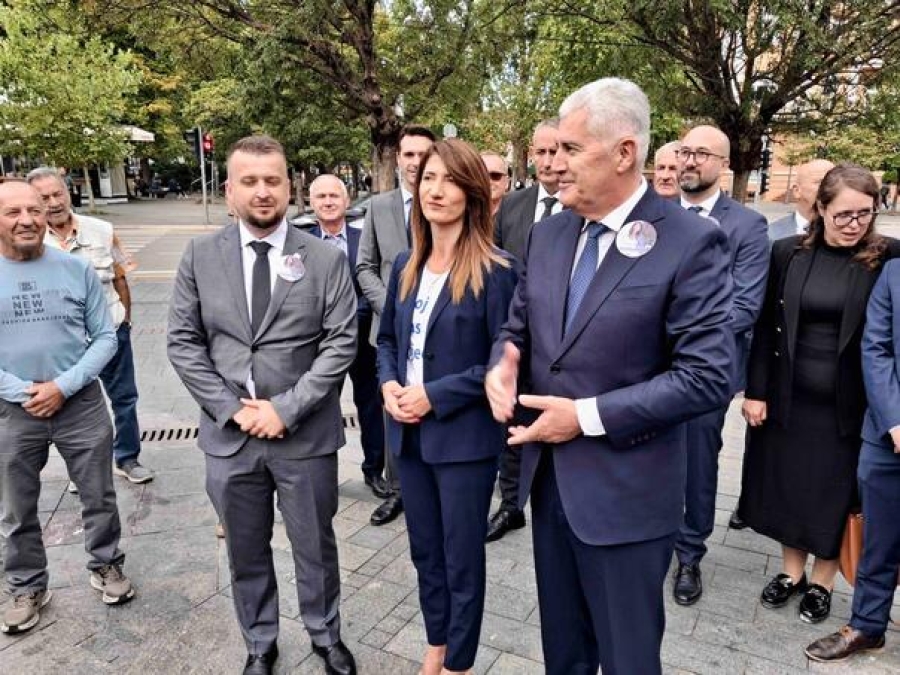 Slika u članku