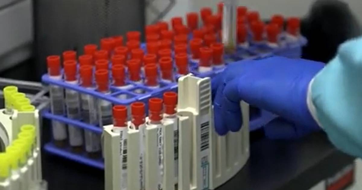 Nizozemska otkrila 85 donora sperme s vi&scaron;e od 25 djece: "To je potpuni haos"