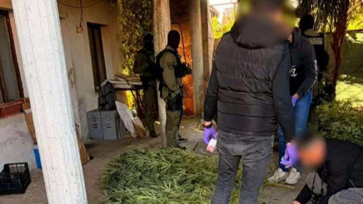 FUP: Pretresom tri lokacije u Čapljini pronađena plantaža kanabisa, dvije osobe uhap&scaron;ene