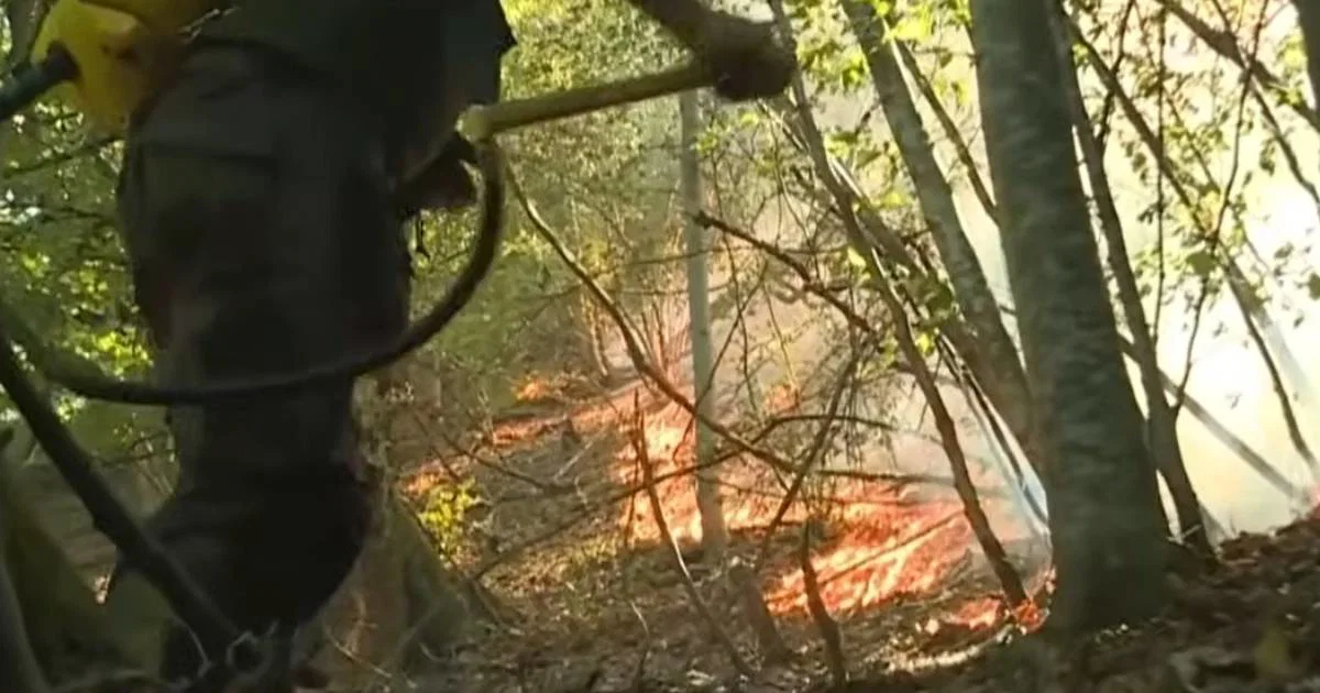Požar u Konjicu aktivan deveti dan, vatrogasci i mje&scaron;tani traže dodatnu pomoć