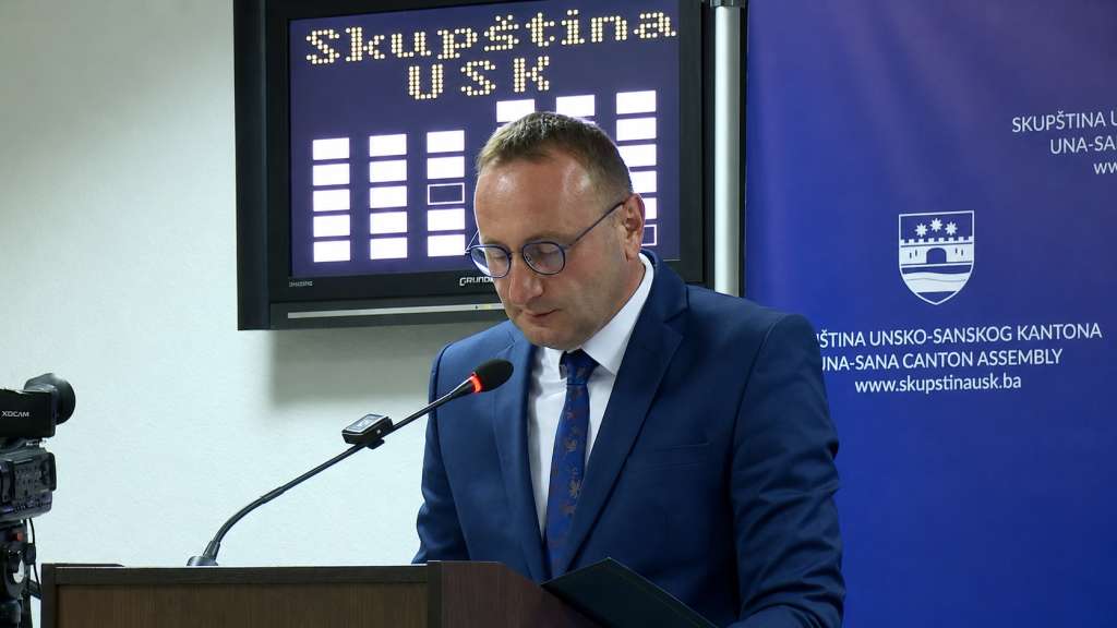 Slika u članku
