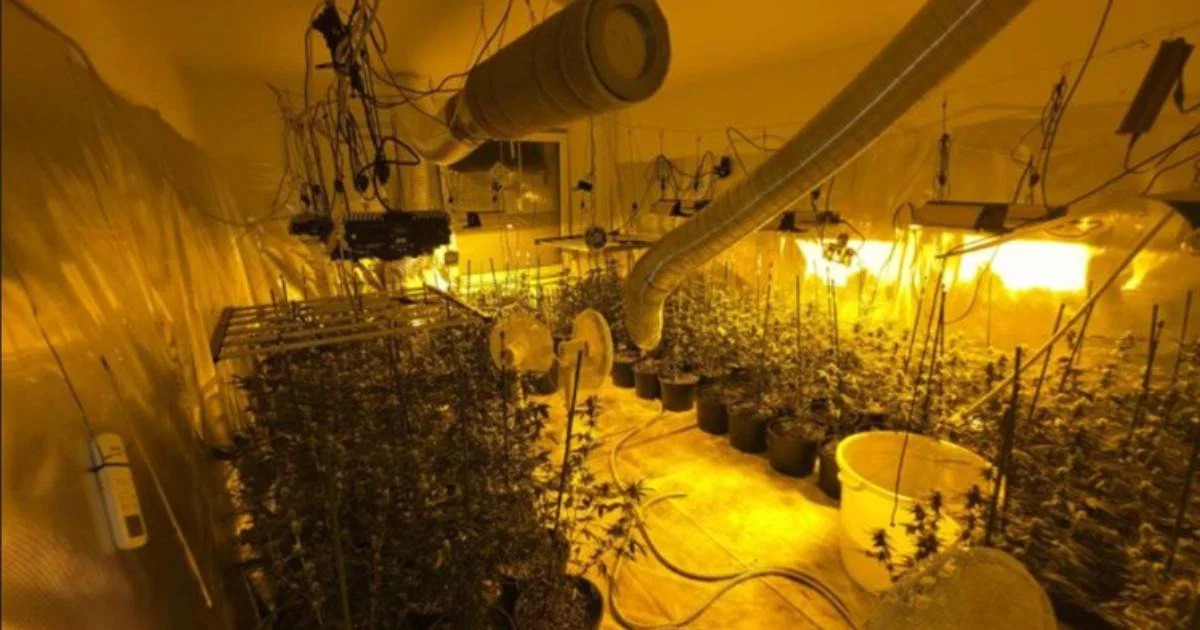 Tužila&scaron;tvo KS zatražilo jednomjesečni pritvor za Nermina Huseinija zbog laboratorija za uzgoj marihuane pronađenih u njegovom stanu