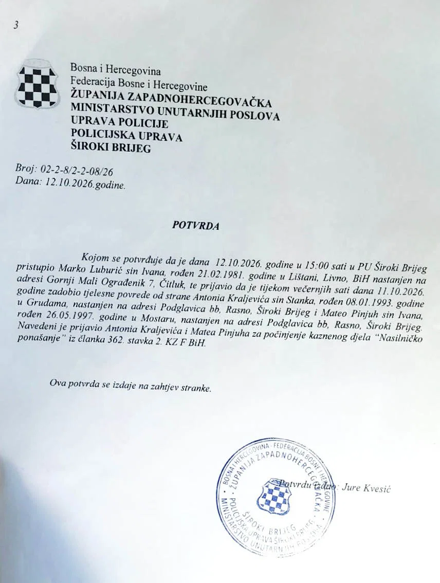 Slika u članku