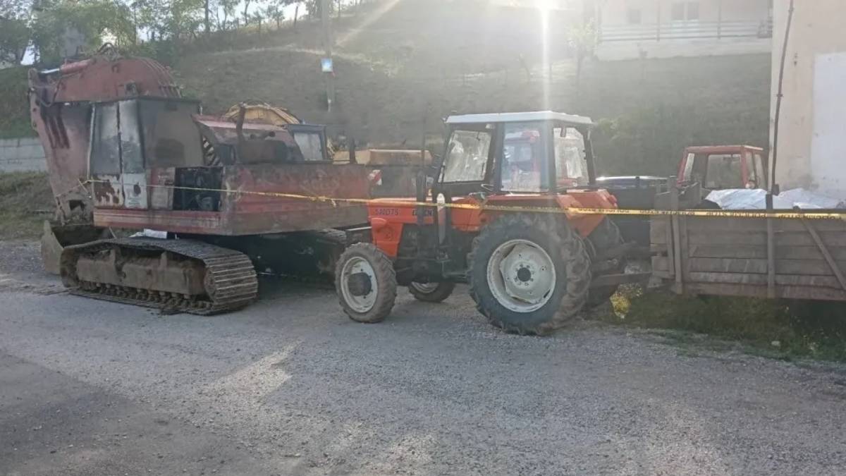 Slika u članku