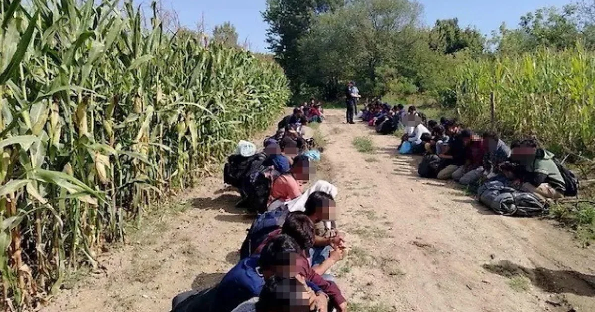 Na području Gradi&scaron;ke pronađeno oko 120 migranata uz pomoć MUP-a Hrvatske
