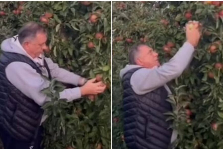 "A I JABUKE SU RODILE": Milorad Dodik se OGLASIO IZ SVOG VOĆNJAKA, poslao dvosmislenu poruku (VIDEO)