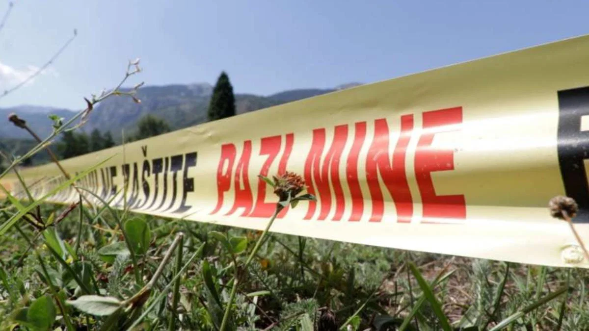 Eksplodirala mina kod Bugojna: Stradalo desetak ovaca