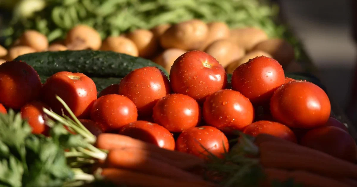 Italijska studija POMOSANO pokazala da je svakodnevnih 250 g paradajza &scaron;est sedmica smanjilo masnoću jetre 1,9 puta kod 79 osoba s MASLD