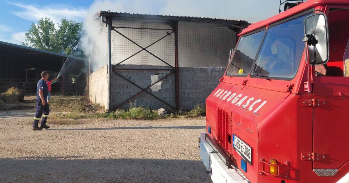 Požar u Provu kod &Scaron;irokog Brijega trajao vi&scaron;e od četiri sata, stradale dvije krave