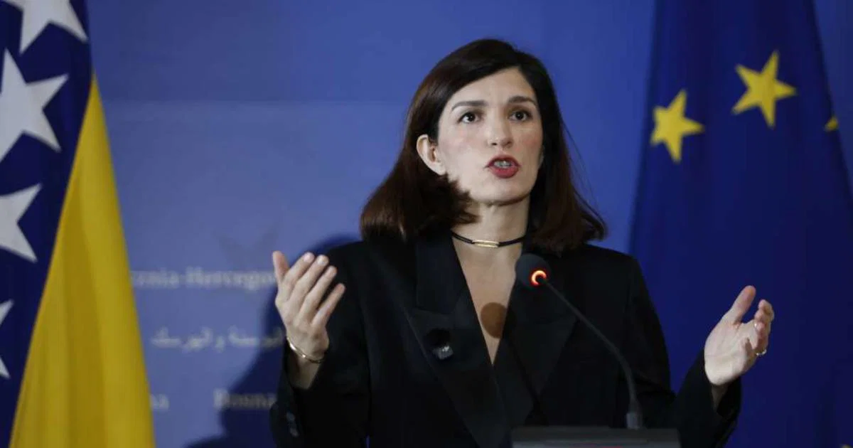 Ćudić: BiH treba odbaciti vanjske uticaje i usvojiti evropske standarde