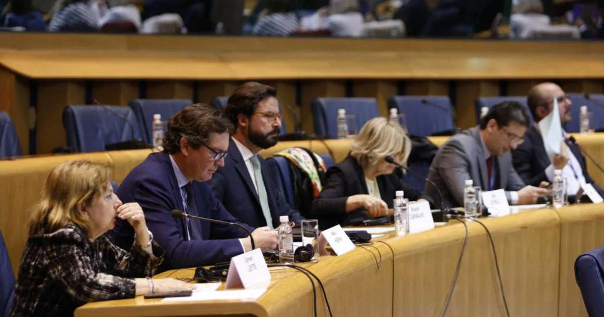 Zajednički seminar pod nazivom "Dogovori o ustavnoj podjeli vlasti i demokratski principi"