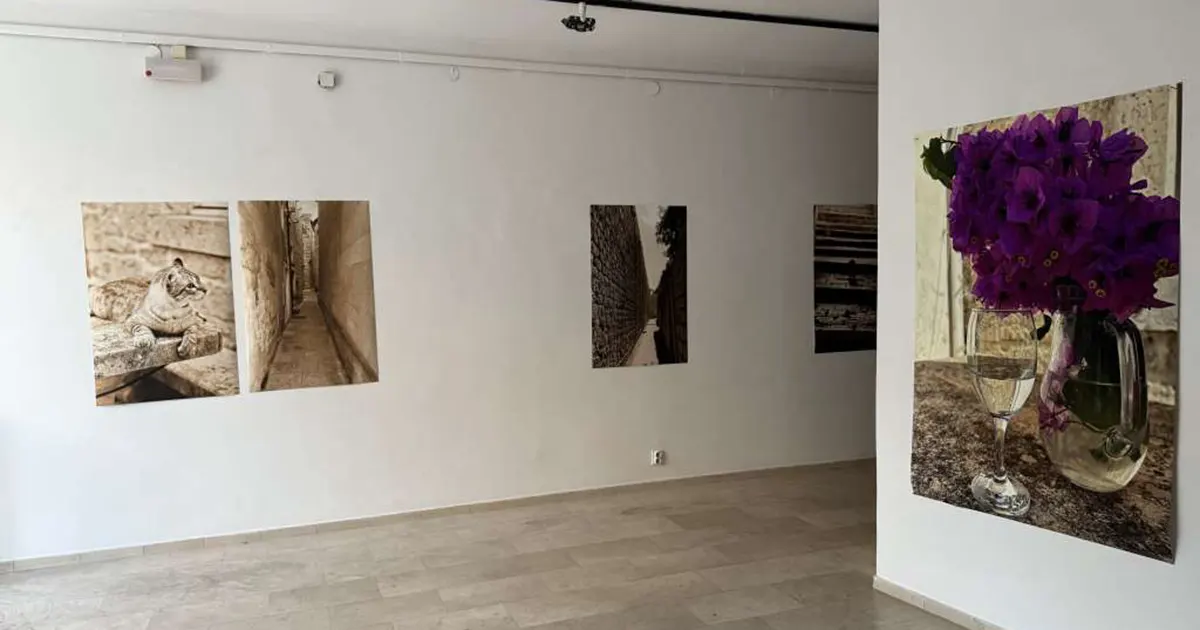 Izložba radova Branke Kopecki "Pod okriljem Kairosa" otvara se u Galeriji "Roman Petrović" Izložba radova Branke Kopecki "Pod okriljem Kairosa" otvara se u Galeriji "Roman Petrović"