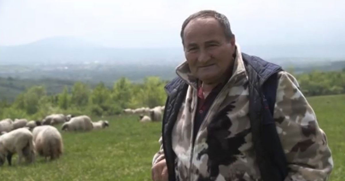 Pala prodaja janjadi uoči 1. maja: "Možeš ti cijeniti koliko hoćeš, ali koliko ćeš prodati…" Pala prodaja janjadi uoči 1. maja: "Možeš ti cijeniti koliko hoćeš, ali koliko ćeš prodati…"