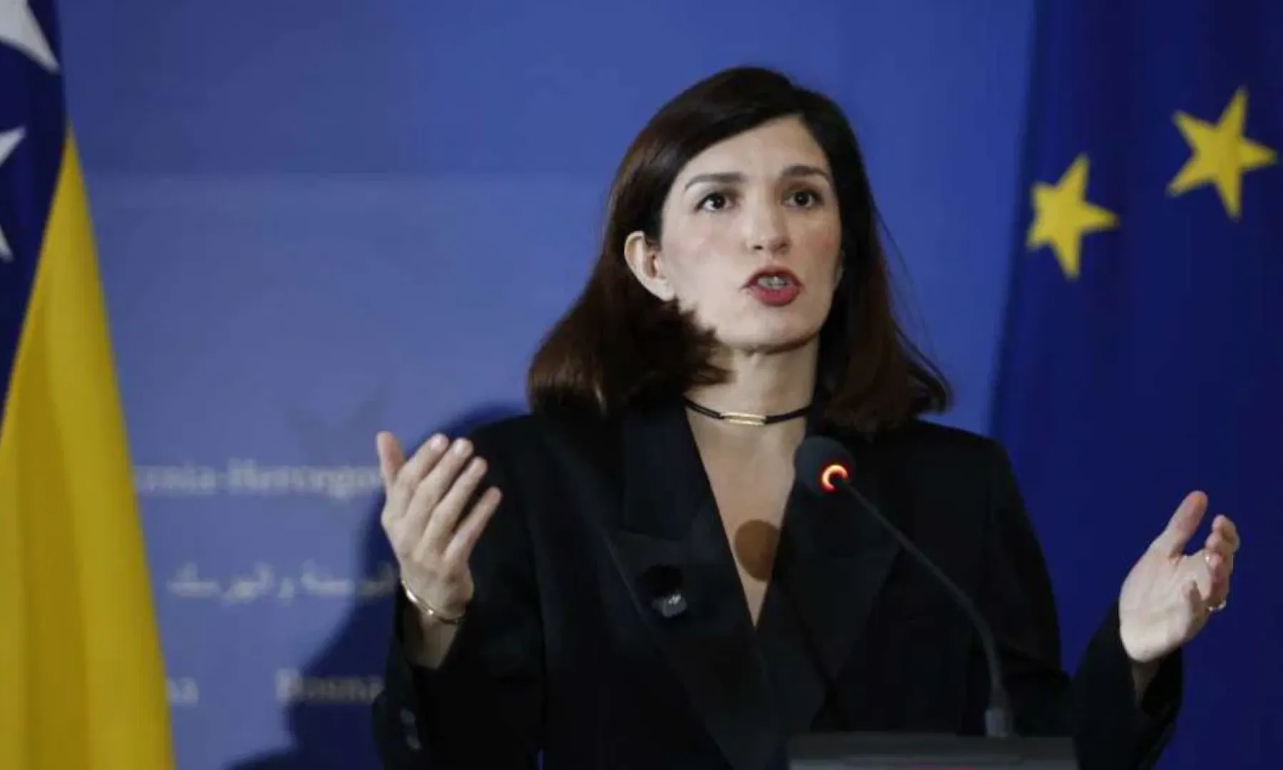 Ćudić: BiH treba odbaciti vanjske uticaje i usvojiti evropske standarde