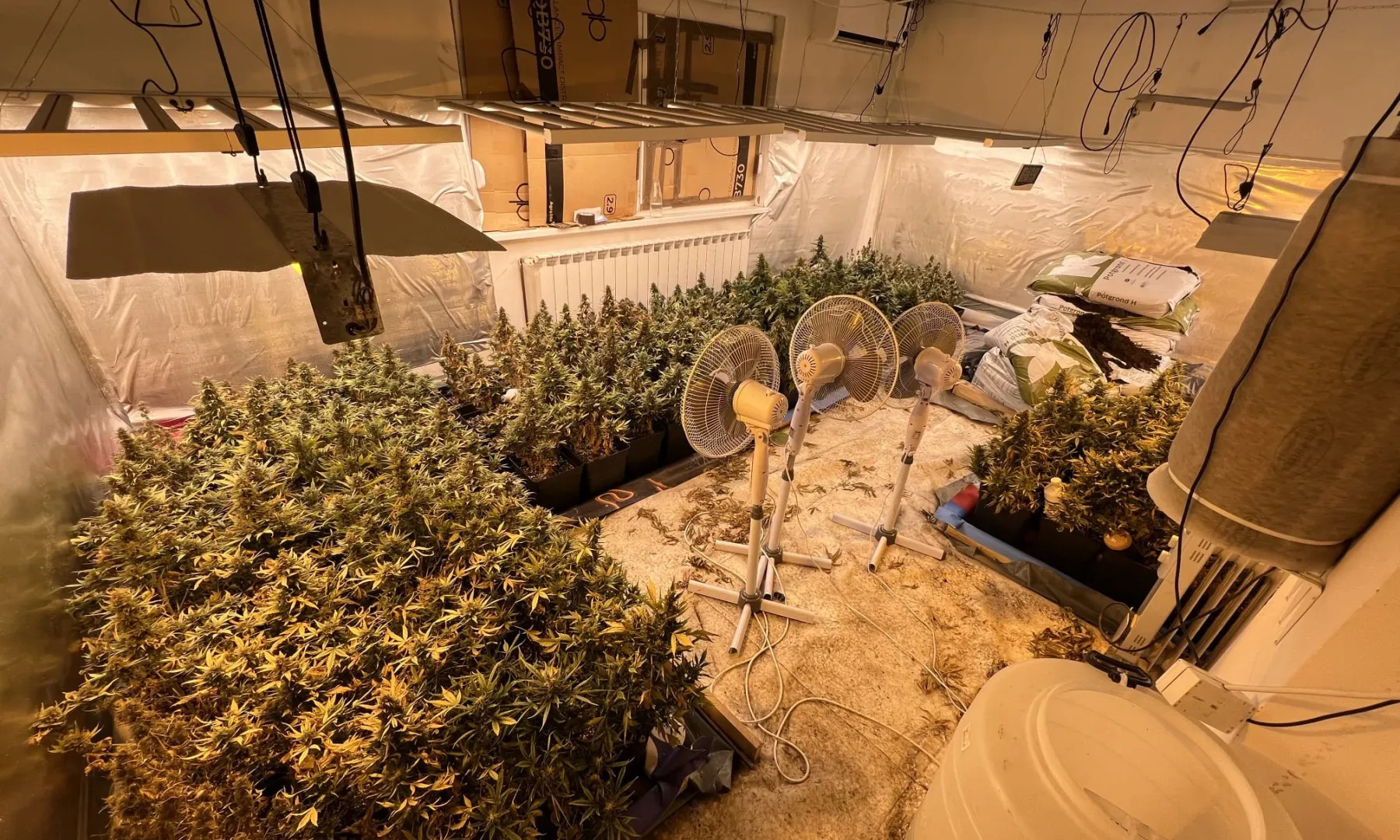 Policija u Sarajevu prona&scaron;la dvije laboratorije za uzgoj marihuane, uhap&scaron;ena 46-godi&scaron;nja žena