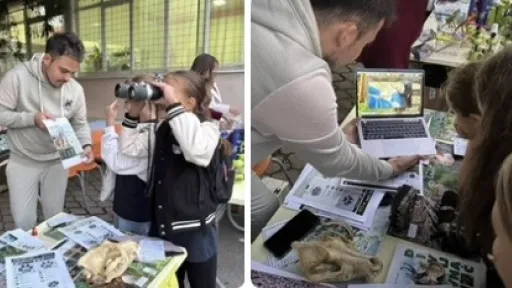 Bihać prvi put domaćin Evropske noći istraživača: radionica "Tragovi divljine" o vuku, mrkom medvjedu i risu