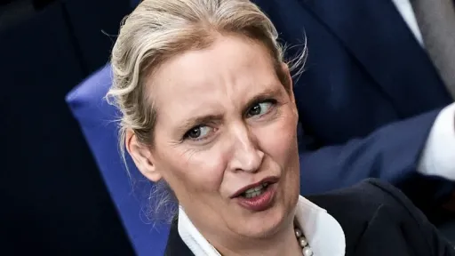 Prema NDR-u i WDR-u, e-mailovi iz jula 2017. dovode u pitanje tvrdnju Alice Weidel o neznanju o donaciji od 132.000 eura