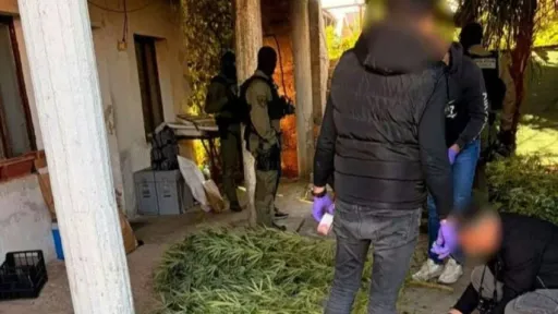 FUP: Pretresom tri lokacije u Čapljini pronađena plantaža kanabisa, dvije osobe uhap&scaron;ene