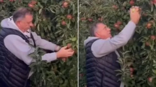 "A I JABUKE SU RODILE": Milorad Dodik se OGLASIO IZ SVOG VOĆNJAKA, poslao dvosmislenu poruku (VIDEO)
