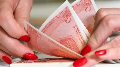 Grad u BiH daje po 500 KM bruco&scaron;ima: Objavljen javni poziv