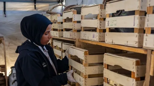 U Gazi dokumentovano više od 1.000 historijskih predmeta iz ruševina u kampu al-Mawasi