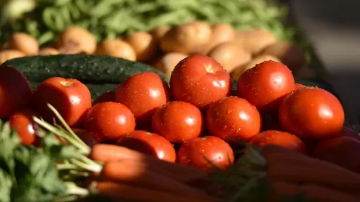 Italijska studija POMOSANO pokazala da je svakodnevnih 250 g paradajza &scaron;est sedmica smanjilo masnoću jetre 1,9 puta kod 79 osoba s MASLD
