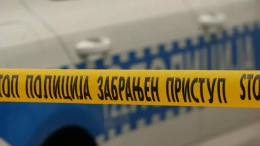 Tragična nesreća u Zvorniku: Osoba inicijala J. A. poginula tokom sječe &scaron;ume