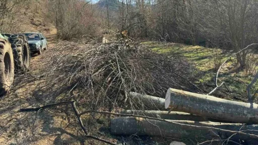 Radnik poginuo tokom sječe &scaron;ume u blizini Sarajeva