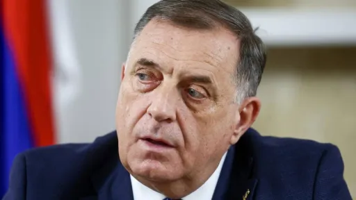 NES BiH: Dodiku je mjesto na političkom otpadu NES BiH: Dodiku je mjesto na političkom otpadu