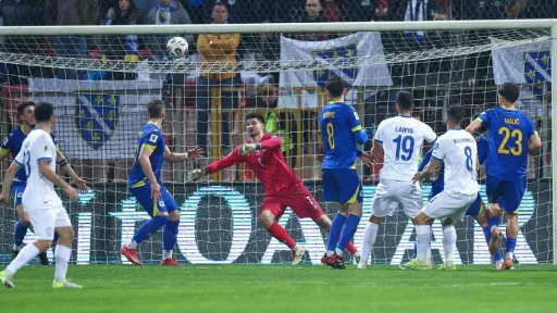 FIFA kaznila Nogometni savez Bosne i Hercegovine