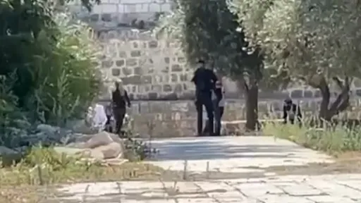 Izraelci pod zaštitom policije upali u prostor džamije Al-Aqsa u okupiranom Jerusalemu
