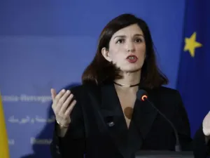 Ćudić: BiH treba odbaciti vanjske uticaje i usvojiti evropske standarde
