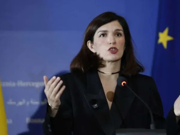 Ćudić: BiH treba odbaciti vanjske uticaje i usvojiti evropske standarde