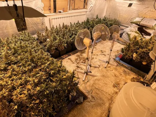 Pronađene dvije laboratorije za uzgoj marihuane, uhap&scaron;en 46-godi&scaron;njak