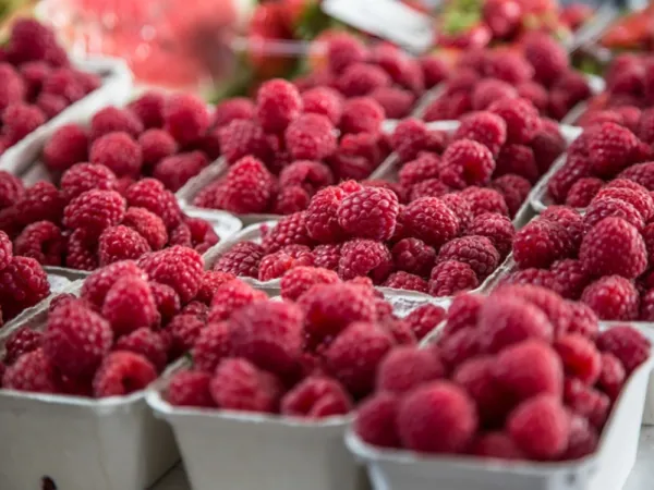 MALINARI NE VJERUJU SREĆI: &Scaron;ta se događa s proizvodnjom u Srebrenici i Bratuncu...