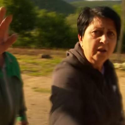 Službenica Ministarstva poljoprivrede USK-a suspendovana nakon što je ošamarila novinarku